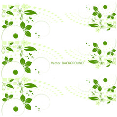 Green flower background for your text