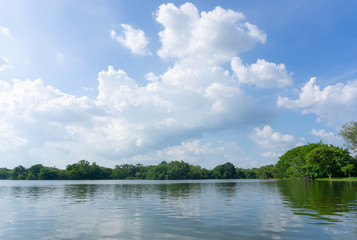 Green forest at lake with reflection blue sky and white cloud in the water,beauty nature background