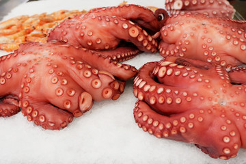 Octopus on ice at the market. Seafood product concept. Sale for home, for cafes and restaurants