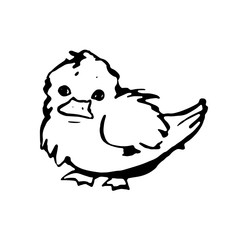 Cute duckling. Monochrome vector illustration in line art style. Hand drawn. On white background.
