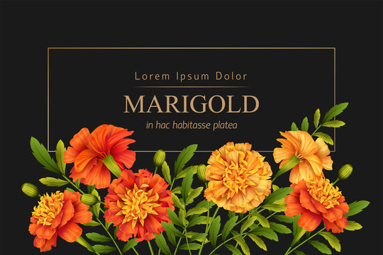 Floral Holiday Background