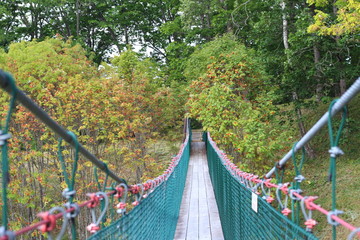 秋の公園の散策路　木の吊り橋 - obrazy, fototapety, plakaty