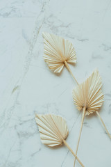 Tan fan craft paper leaves on marble background. Flat lay, top view.