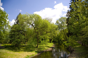 calm picturesque spring landscape with green trees in the park in Żelazowa Wola in Poland