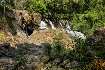 Thailand, Beauty, Environment, Flowing, Forest