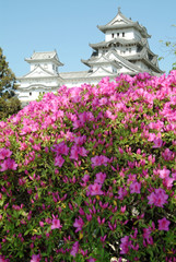 お城と躑躅