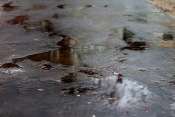 Puddle Reflection on the Asphalt 01