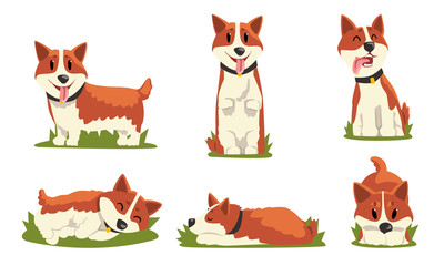 Fototapeta premium Collection of Cute Dog in Everyday Activities, Cute Pet Animal in Various Poses Vector Illustration on White Background