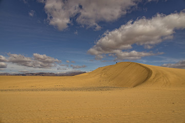 summer desert landscape on a warm sunny day from Maspalomas dunes on the Spanish island of Gran...