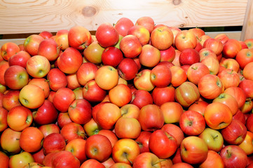 Red fresh apples in a pile on a wooden box