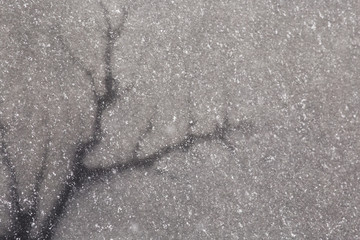 Black crack on spring ice. Background image of ice. Dangerous spring ice.