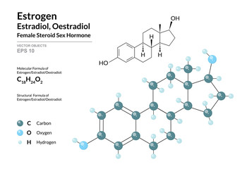 Hormone Estrogen (Estradiol, Oestradiol). Structural Chemical Formula and Molecule 3d Model. Atoms with Color Coding. Vector Illustration