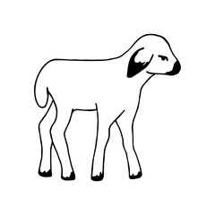 Simple hand-drawn black outline vector drawing. Little kid, cute lamb isolated on a white background. Farm animals, livestock breeding, zoo.