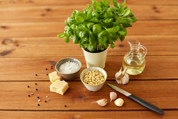 food and culinary concept - parmesan cheese, pine nuts, vinegar and garlic for basil pesto sauce making on wooden table