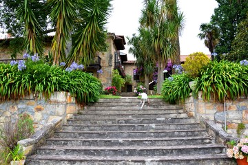 a boy climbing the stairs in a park