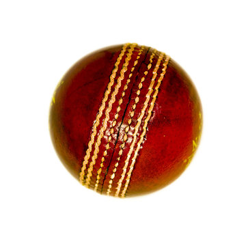 Cricket Ball White