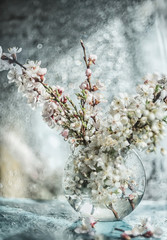 Flowering branches with white delicate flowers of cherry and apricot in a glass transparent vase....