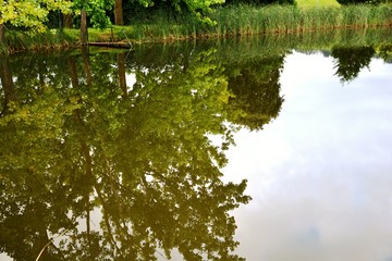 landscape with lake and trees reflected