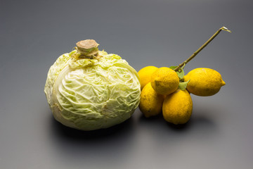 Branch with lemons on a vegetable leaf