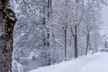 snowy and frozen landscape in winter