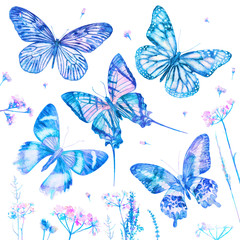 Watercolor butterflies isolated on white background with flowers. Big floral bright set. Abstract colorful illustration blue collection