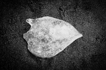 Ice