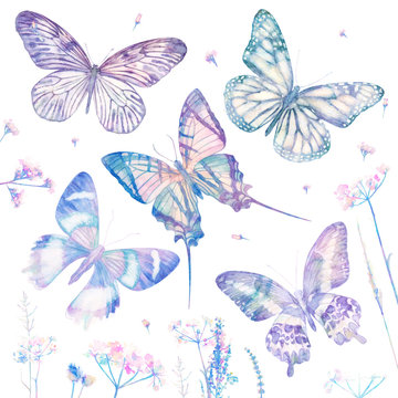 Watercolor butterflies isolated on white background with flowers. Big floral bright set. Abstract colorful illustration blue collection