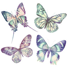 Fototapeta na wymiar Watercolor butterflies isolated on white background with flowers. Vintage floral bright set. Abstract colorful illustration retro old collection