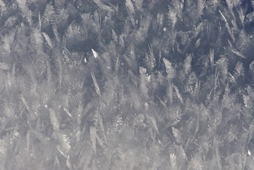 Close up sunlit ice carpet from sparkling and flaring sharp large crystals of snow and ice of bizarre form, Ice desert, forest of sharp jagged crystals, structure, background