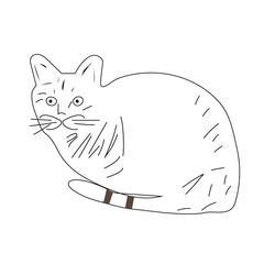 A cat in a sitting position made by a black stroke