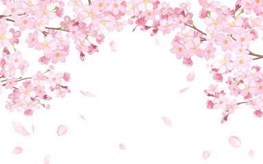 桜と散る花びらのアーチ型フレーム　水彩イラスト - obrazy, fototapety, plakaty