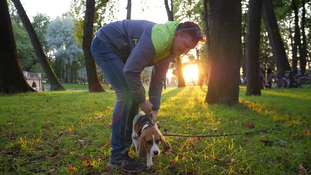 Man play with young beagle dog, shake doggy body by hands, evening park area lit by low sunlight break through trees. Slow motion shot, dog try to get out then jump and rush away