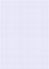 A4 size graph paper used in education