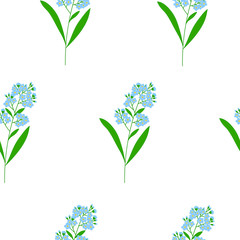 Forget me not flowers seamless pattern vector spring botanical illustration