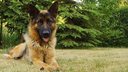 Natura © Krzysztof Gebarowski