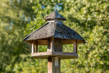 A feeding board for birds in the wild