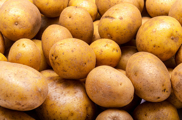 heap of potatoes, for background or texture