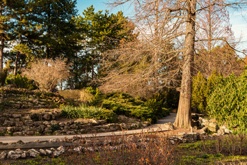 Japanese garden in Margaret Island