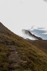 Chamois on a mountain ridge, morning time
