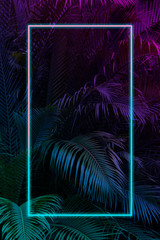 Tropical leaves with neon frame for background, palm leaves in blue and purple gradient - obrazy, fototapety, plakaty