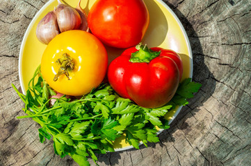 A snack plate stands on a tree with freshly washed vegetables such as tomatoes, parsley, garlic, pepper