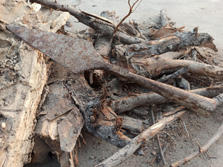 pile of  rusted wood lying with an around it
