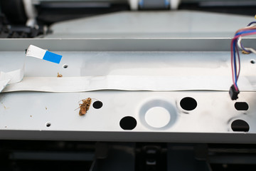 insects, cockroaches lie inside the disassembled laser printer near the loop of wires