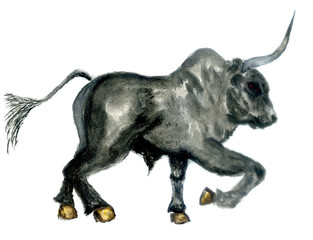 Black bull art