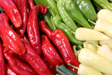 Group of various vegetables and as background