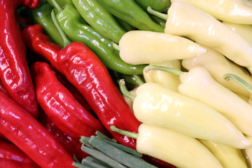 Group of various vegetables and as background