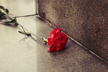 carnation flowers laid on the granite monument