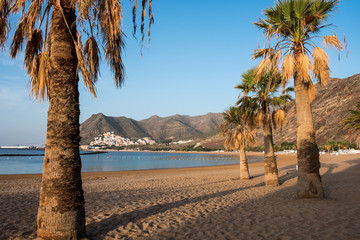 Tropical beach. Playa De Las Teresitas, Tenerife, Canary Islands.