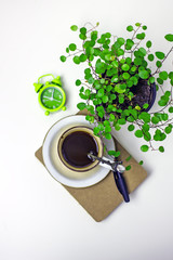 Green alarm clock, coffee cup and indoor flower background, copy space