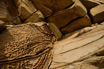 close up sandstone texture background, natural surface divided by huge cracks. Background on theme geology